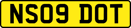 NS09DOT