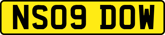 NS09DOW