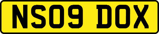NS09DOX