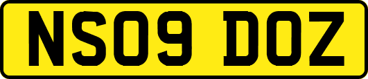 NS09DOZ