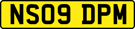 NS09DPM