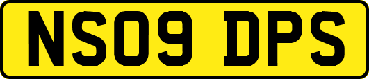 NS09DPS