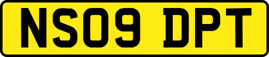 NS09DPT