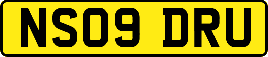 NS09DRU