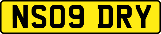 NS09DRY