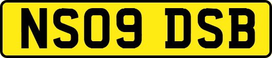 NS09DSB