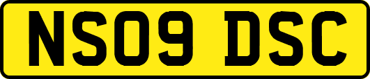 NS09DSC