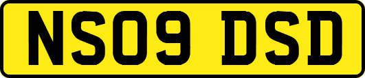 NS09DSD