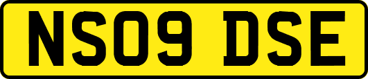 NS09DSE