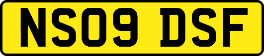 NS09DSF