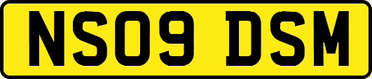 NS09DSM