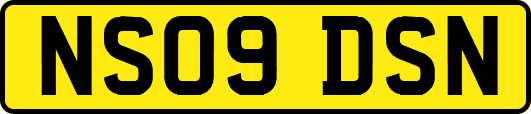 NS09DSN