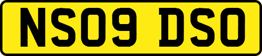 NS09DSO