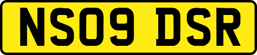 NS09DSR