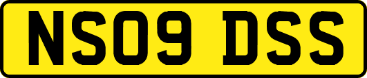 NS09DSS