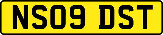 NS09DST