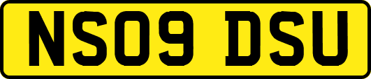 NS09DSU