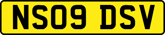 NS09DSV