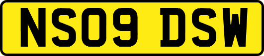 NS09DSW