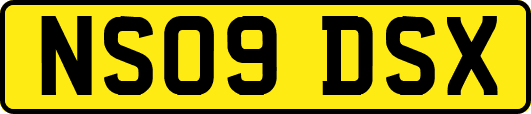 NS09DSX