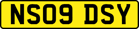 NS09DSY