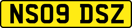 NS09DSZ