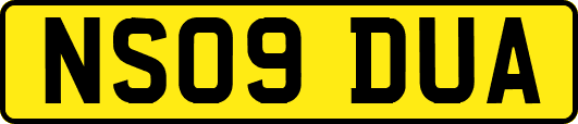 NS09DUA