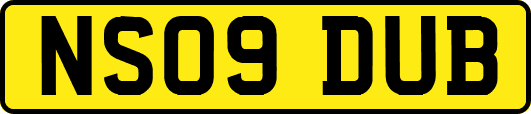 NS09DUB
