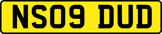 NS09DUD