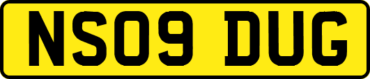 NS09DUG