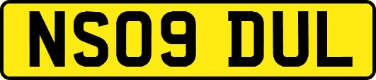 NS09DUL