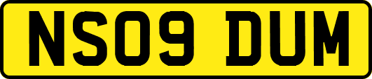 NS09DUM