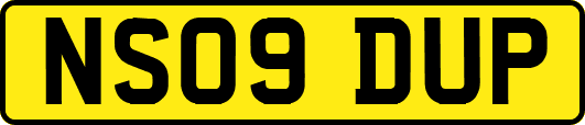 NS09DUP