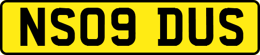 NS09DUS