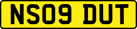 NS09DUT