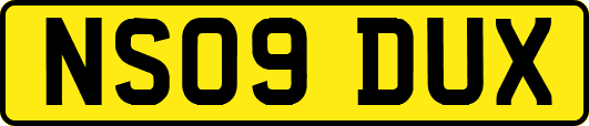 NS09DUX