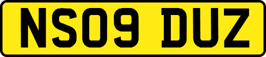 NS09DUZ