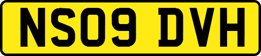 NS09DVH