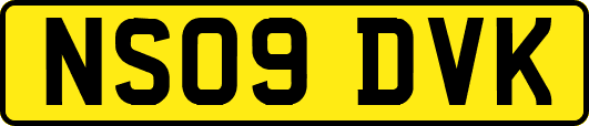 NS09DVK