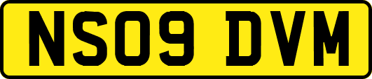 NS09DVM