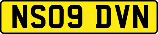 NS09DVN
