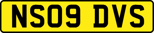 NS09DVS