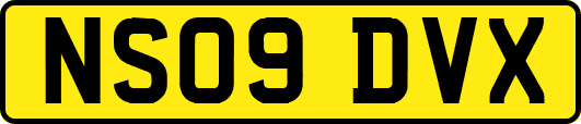 NS09DVX