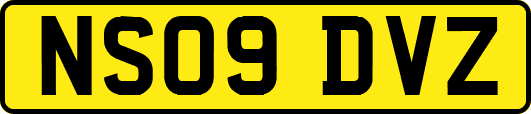 NS09DVZ