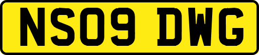 NS09DWG
