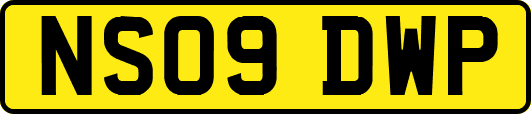 NS09DWP