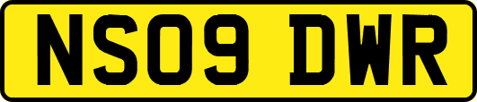 NS09DWR