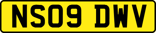 NS09DWV