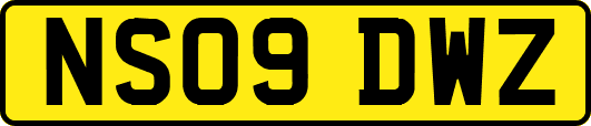 NS09DWZ