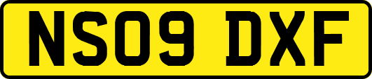 NS09DXF